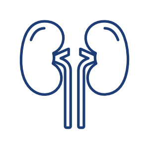 urologia